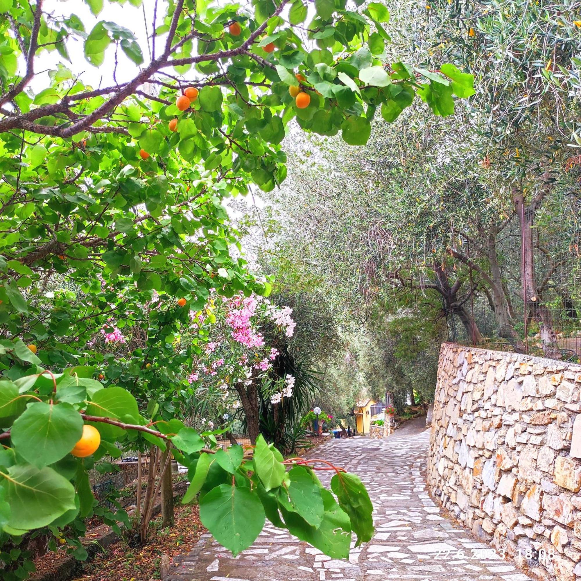 Villa Berio Due - Tuija Villa Viani Bagian luar foto