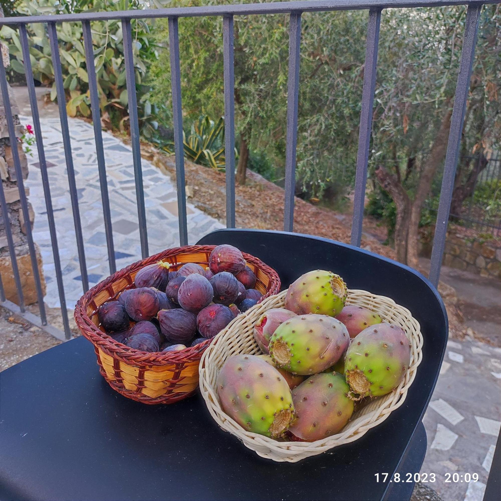 Villa Berio Due - Tuija Villa Viani Bagian luar foto